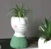 Hanlv handicrafts, creative cement character images, realistic succulent plant potted plants, bonsai, home decoration ornaments, window display decoration props Application Scenario